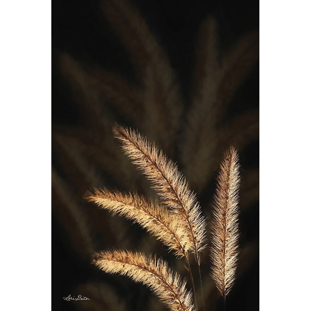 Golden Grass I Poster Print by Lori Deiter-VARPDXLD1598 Image 1