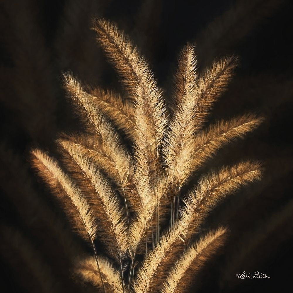 Golden Grass II Poster Print by Lori Deiter-VARPDXLD1599 Image 1