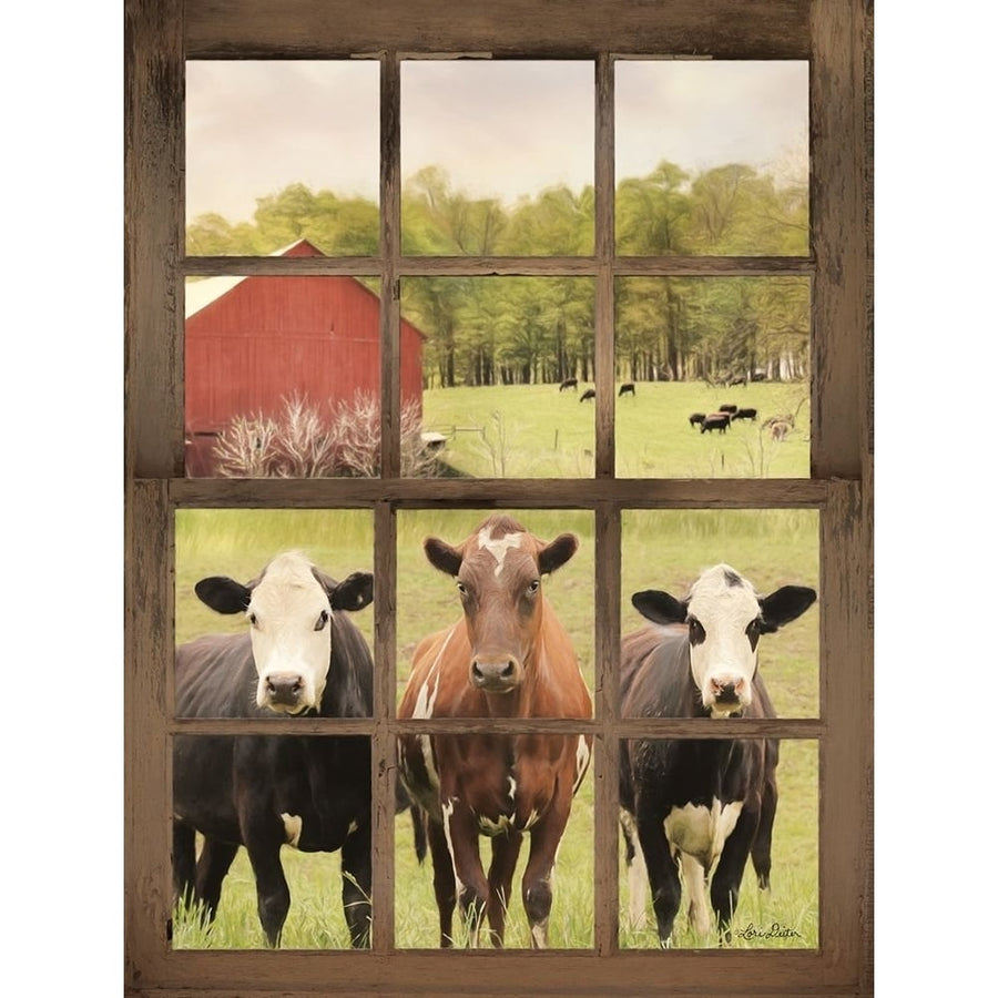 Three Moo View Poster Print by Lori Deiter-VARPDXLD1603 Image 1