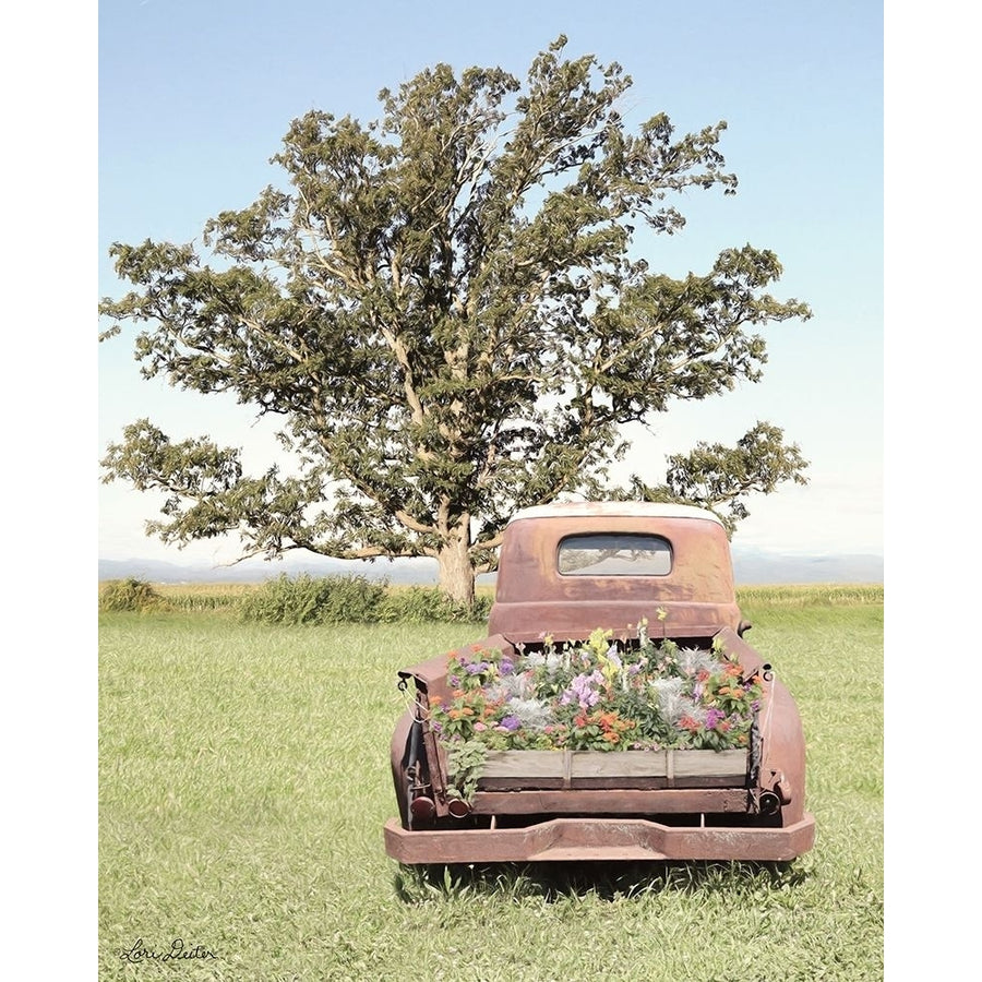 Field of Dreams Poster Print by Lori Deiter-VARPDXLD1663 Image 1