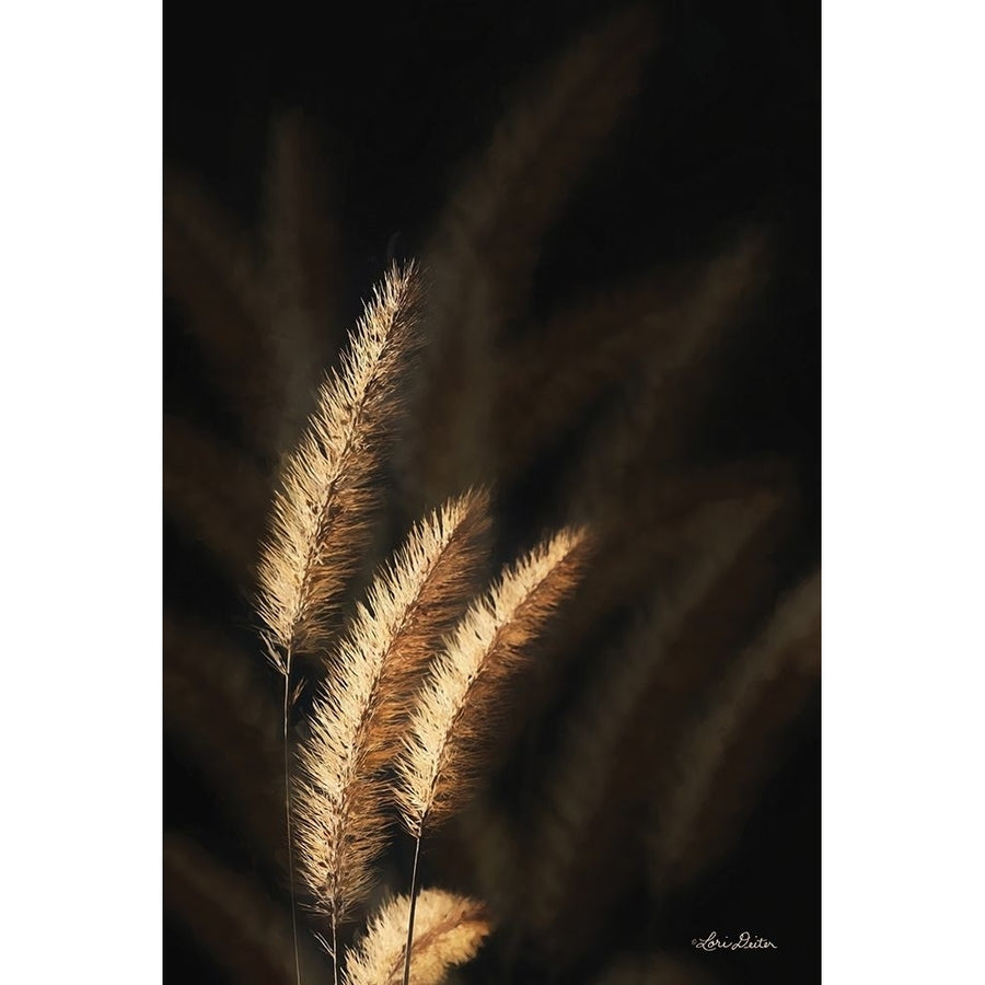 Golden Grass III Poster Print by Lori Deiter-VARPDXLD1600 Image 1