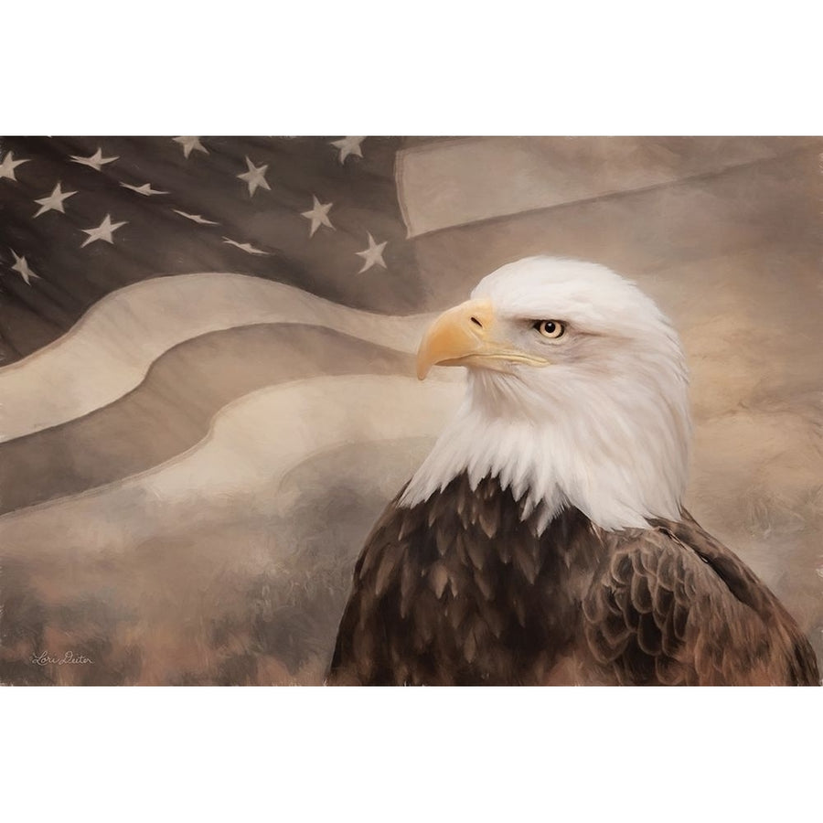 US Symbols Poster Print by Lori Deiter-VARPDXLD1832 Image 1