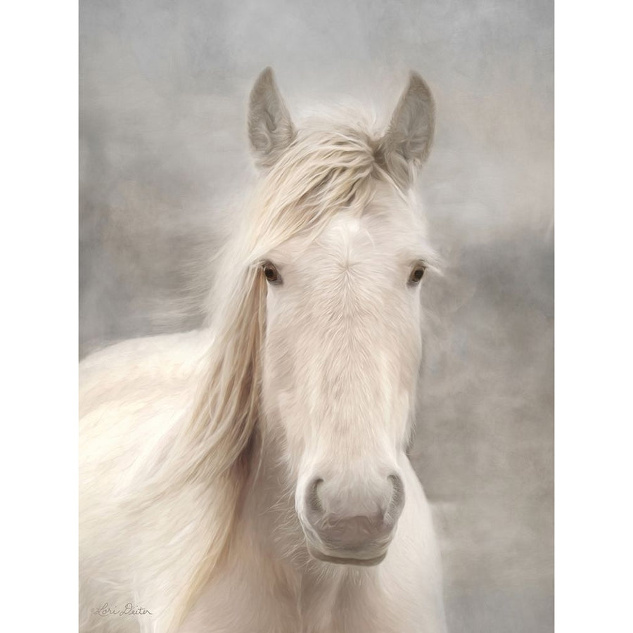 White Beauty I Poster Print by Lori Deiter-VARPDXLD1797 Image 1