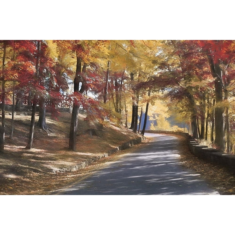 Autumn at Letchworth Poster Print by Lori Deiter-VARPDXLD1981 Image 1