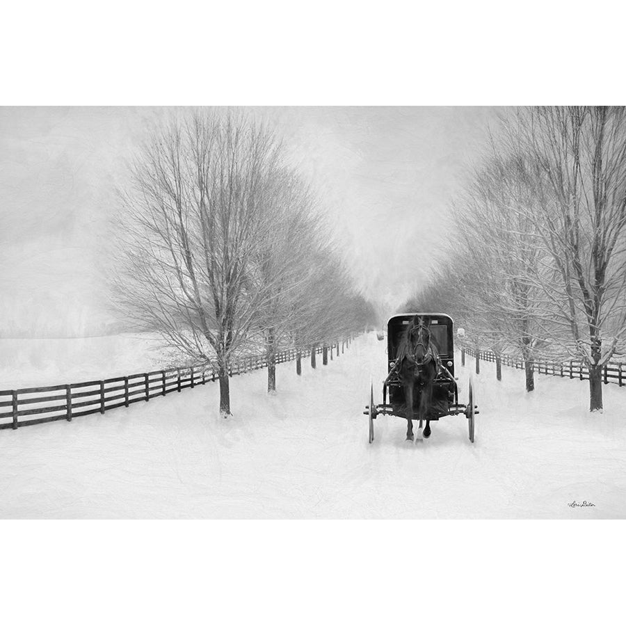 Snowy Amish Lane Poster Print by Lori Deiter-VARPDXLD2055 Image 1