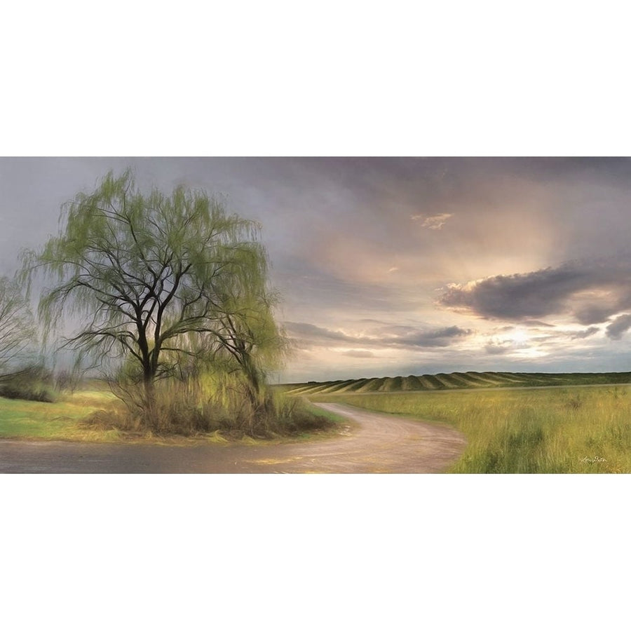 Willow Lane Poster Print by Lori Deiter-VARPDXLD2267 Image 1