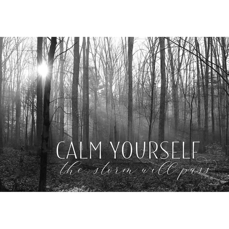 Calm Yourself by Lori Deiter-VARPDXLD2359 Image 1