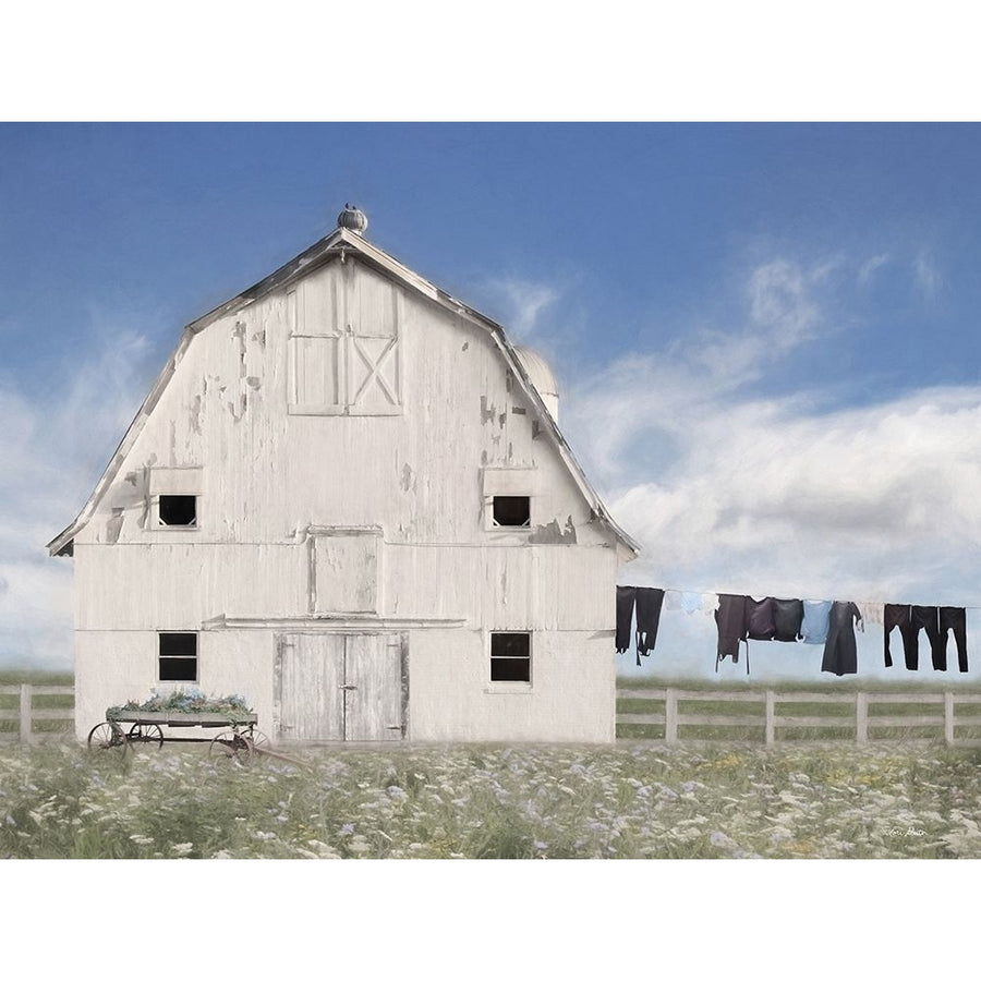 Amish Laundry by Lori Deiter-VARPDXLD2391 Image 1