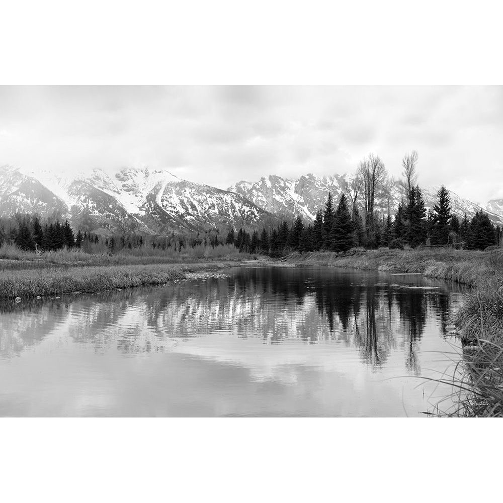 Tetons at Schwabachers Landing by Lori Deiter-VARPDXLD2437 Image 1