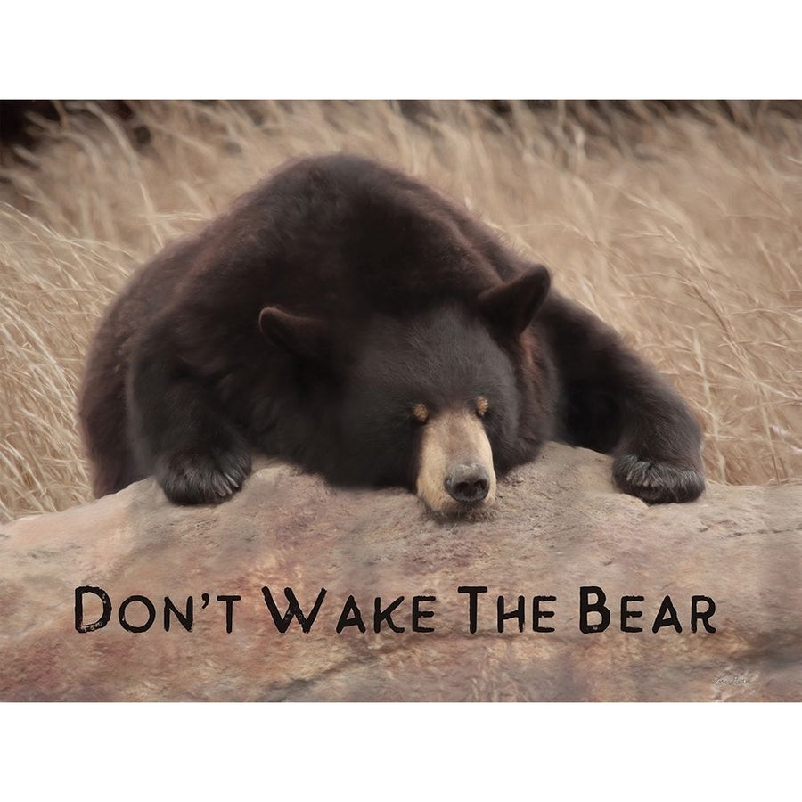 Dont Wake the Bear by Lori Deiter-VARPDXLD2400 Image 1