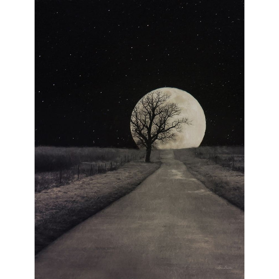 Moonlit Country Road by Lori Deiter-VARPDXLD2588 Image 1