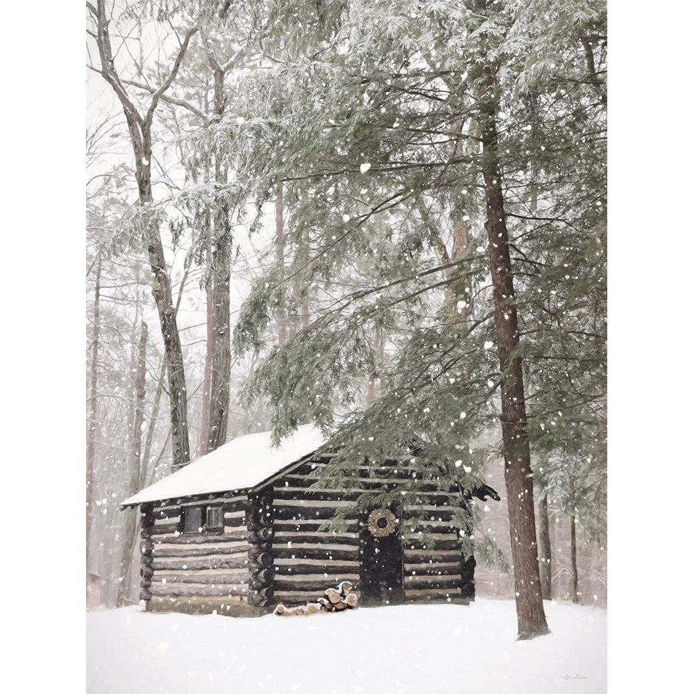 Cabin Fever Poster Print - Lori Deiter-VARPDXLD2610 Image 1