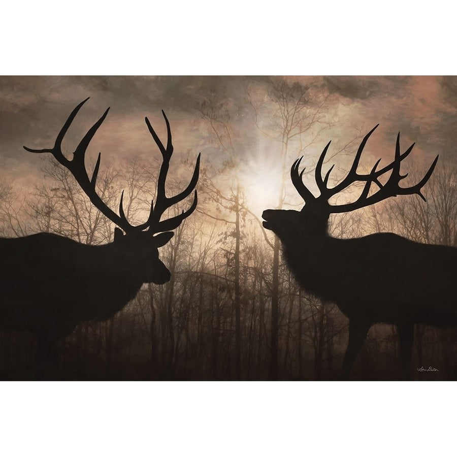 Elk Sunrise III by Lori Deiter-VARPDXLD2688 Image 1