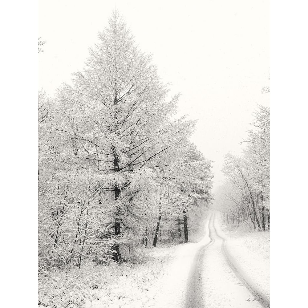 Berry Mountain Road by Lori Deiter-VARPDXLD2645 Image 1