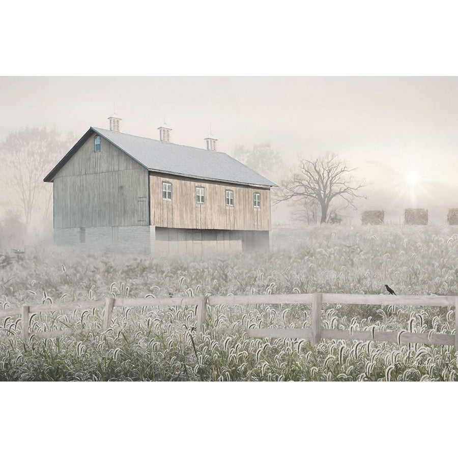 Dewy Country Morning by Lori Deiter-VARPDXLD2790 Image 1