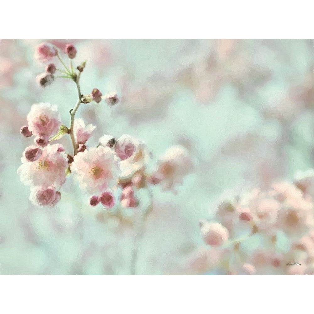 Pastel Weeping Cherry Blossom I Poster Print - Lori Deiter-VARPDXLD2826 Image 1