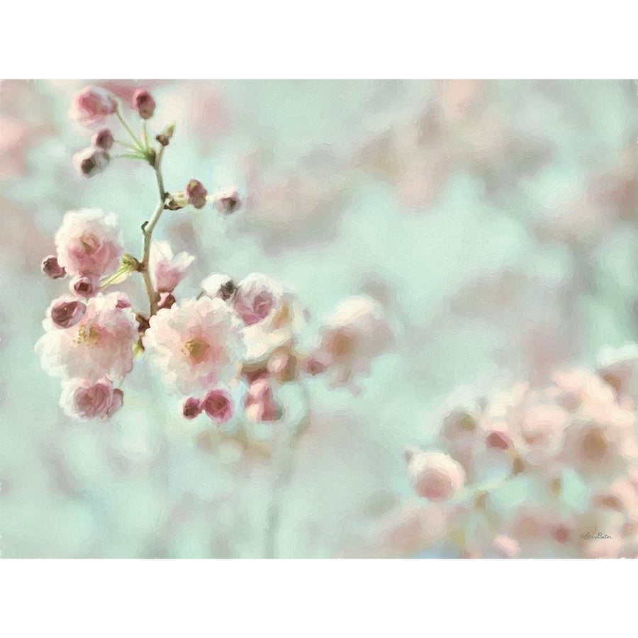 Pastel Weeping Cherry Blossom I Poster Print - Lori Deiter-VARPDXLD2826 Image 1