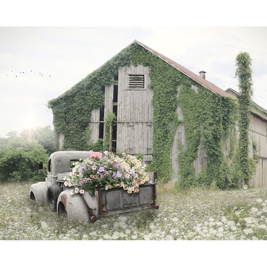 Field of Flowers Poster Print - Lori Deiter-VARPDXLD2899 Image 1