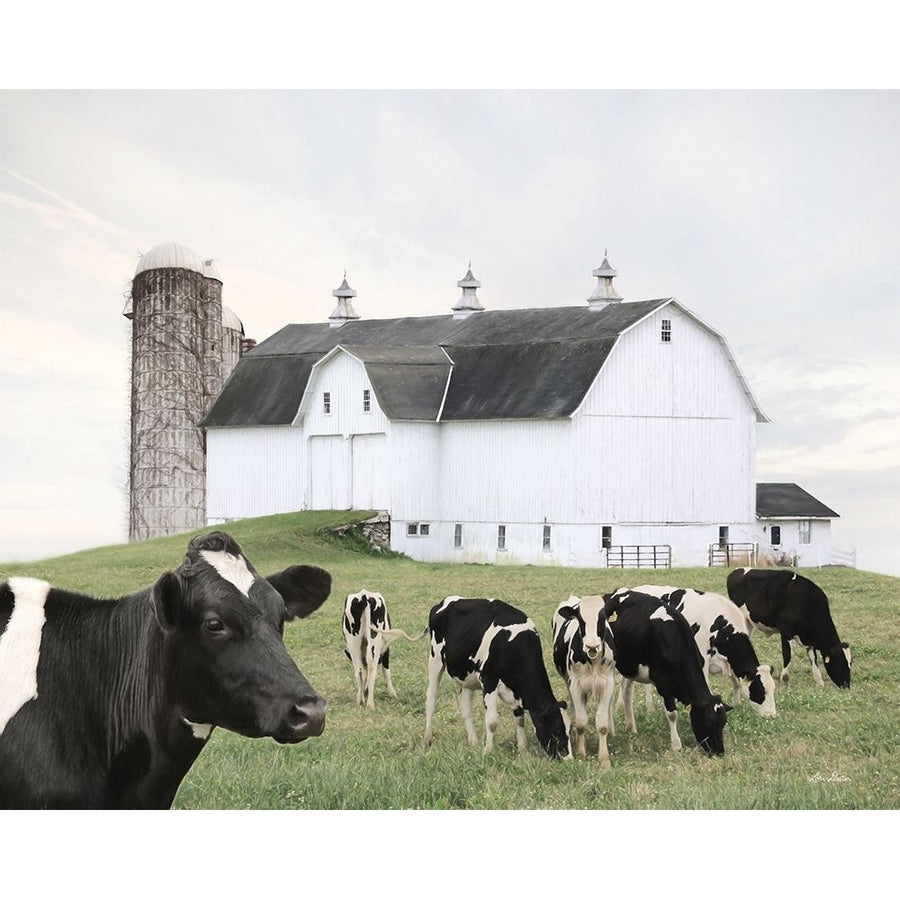 Cow Gathering Poster Print - Lori Deiter-VARPDXLD2891 Image 1