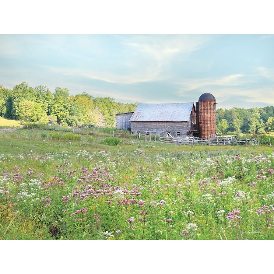 Summer on the Farm Poster Print - Lori Deiter-VARPDXLD2879 Image 1