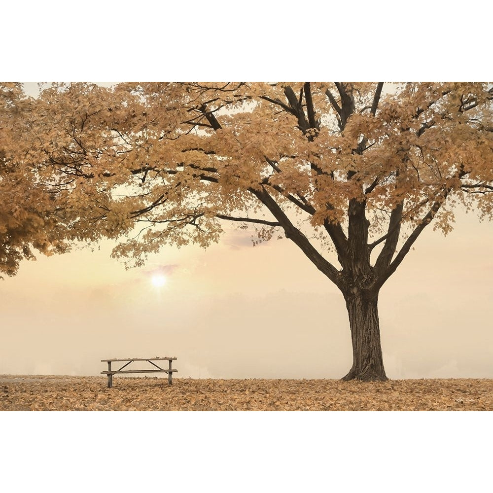 Perfect Picnic Spot Poster Print - Lori Deiter-VARPDXLD2966 Image 1