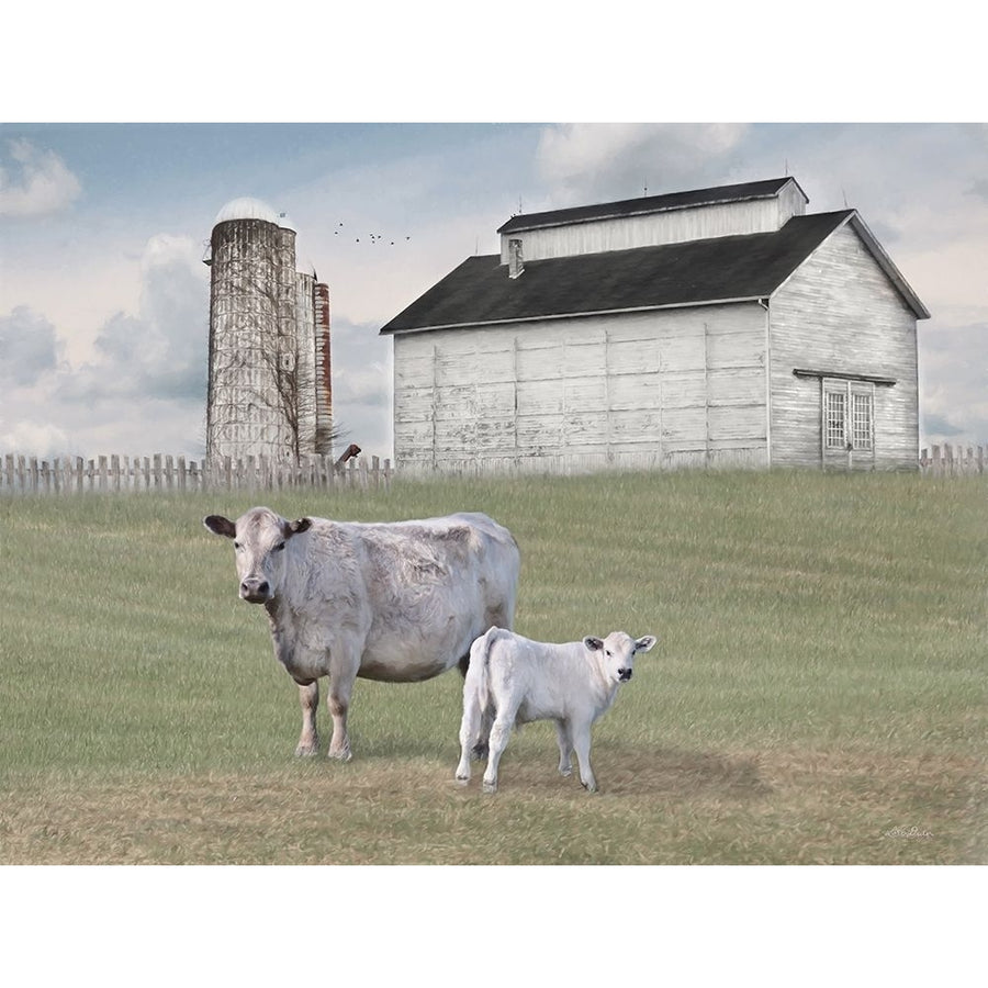 Momma and Baby Cow Poster Print - Lori Deiter-VARPDXLD3084 Image 1