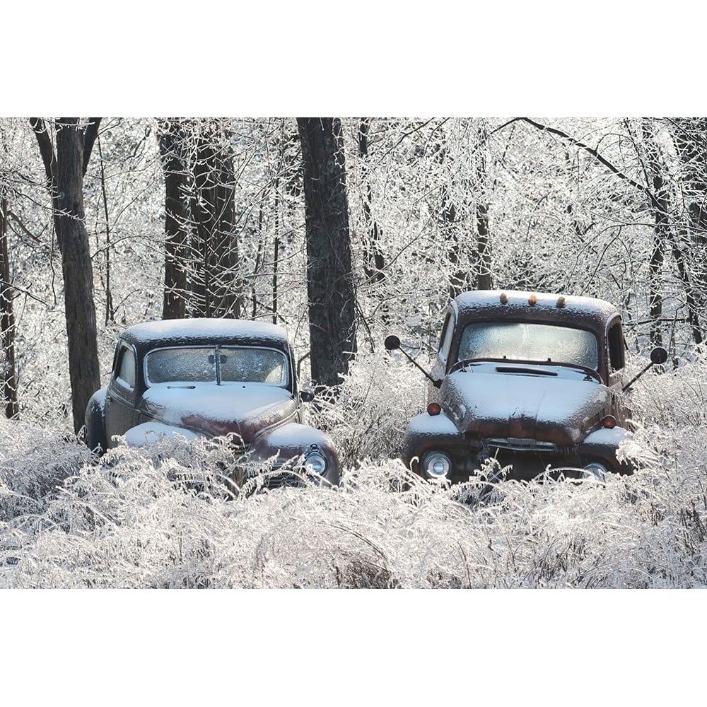 Frozen in Time Poster Print - Lori Deiter-VARPDXLD3113 Image 1