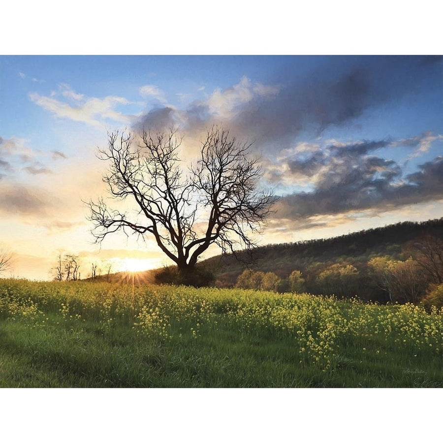 Clark Valley Sunset Poster Print - Lori Deiter-VARPDXLD3242 Image 1