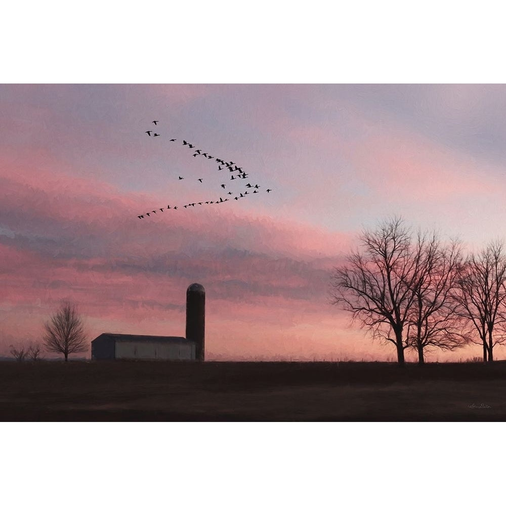 Spring Migration of Snow Geese Poster Print - Lori Deiter-VARPDXLD3243 Image 1