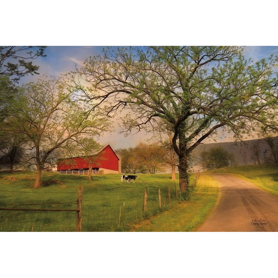 Country Sunrise Poster Print by Lori Deiter-VARPDXLD726A Image 1