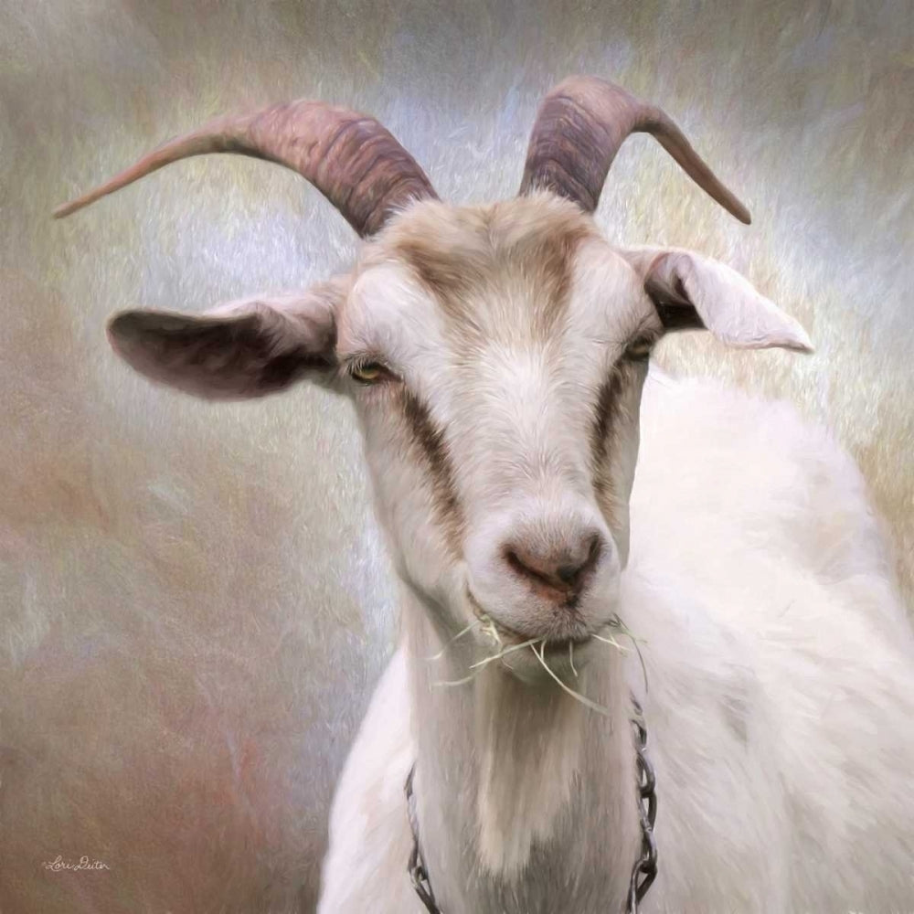 Up Close Goat Poster Print by Lori Deiter-VARPDXLD878A Image 1