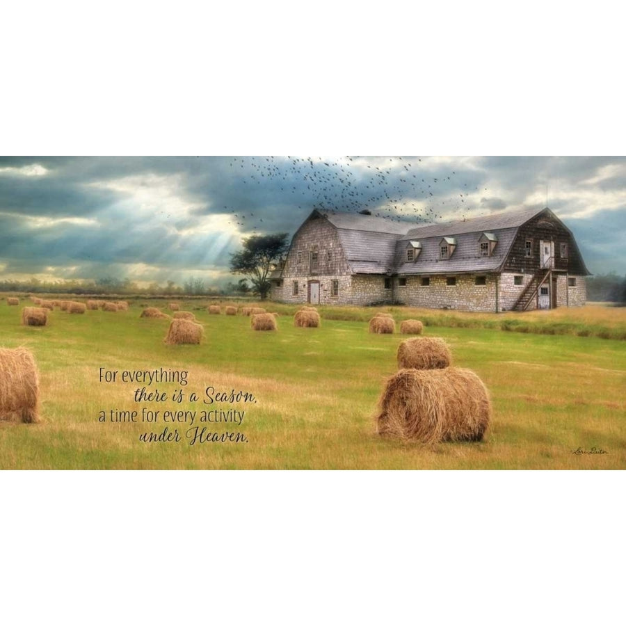 A Time to Reap Poster Print by Lori Deiter-VARPDXLD782 Image 1