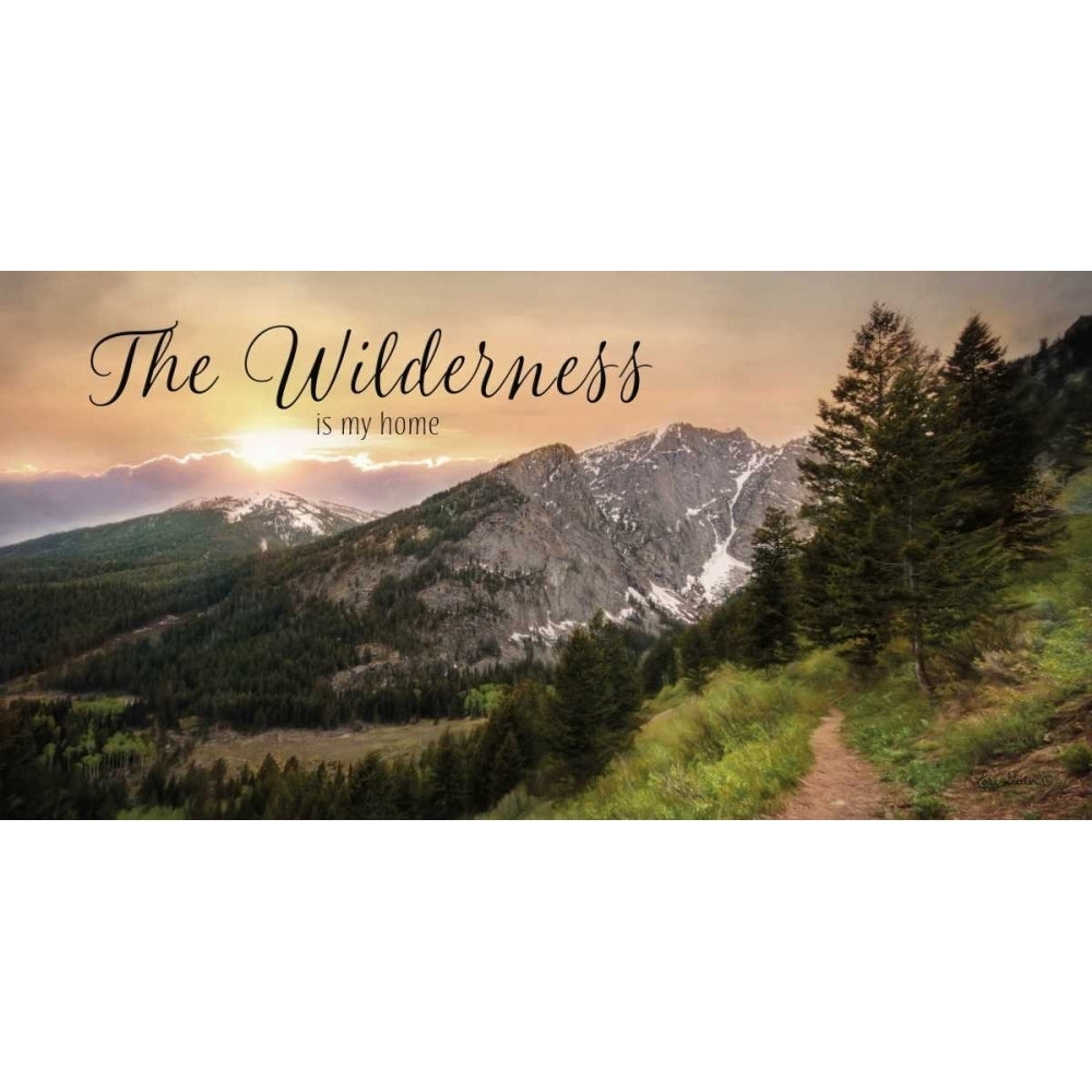 The Wilderness is My Home Poster Print by Lori Deiter-VARPDXLD916 Image 1