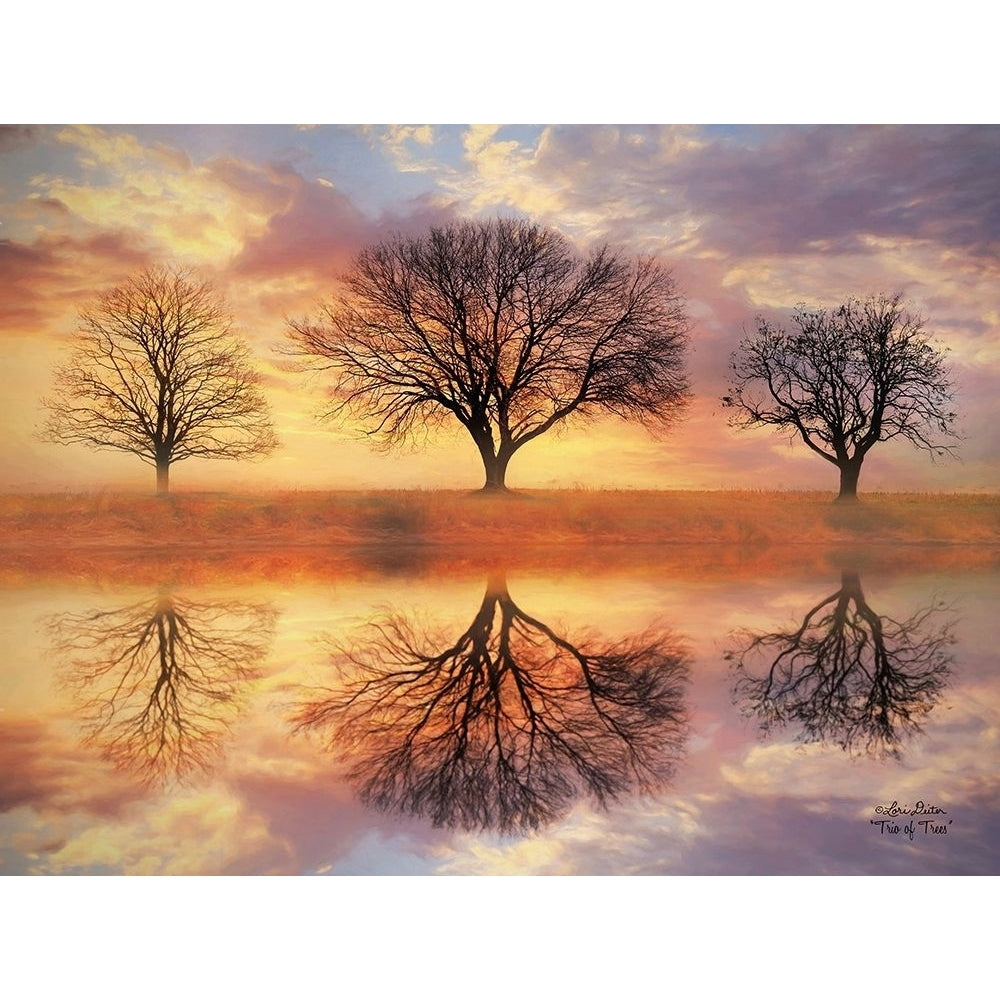 Trio of Trees Poster Print by Lori Deiter-VARPDXLD977 Image 1