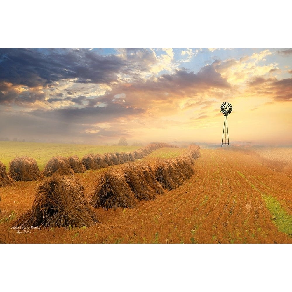 Amish Country Sunrise Poster Print by Lori Deiter-VARPDXLD973 Image 1