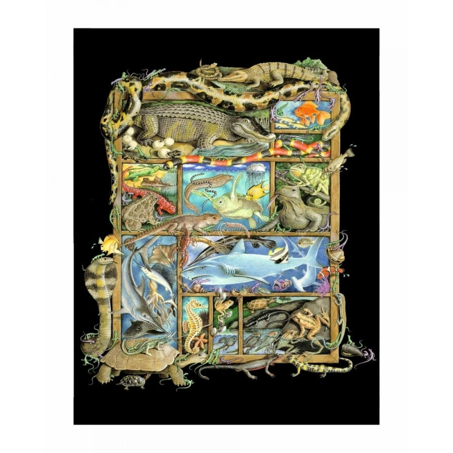 Shadowbox Hunt -Reptiles Fish Poster Print by Laura Seeley-VARPDXLE111343DG Image 1