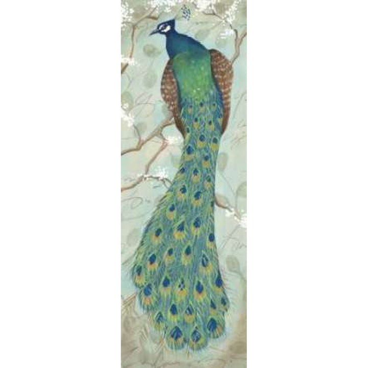 Peacock II Poster Print by Steve Leal-VARPDXLEA031 Image 1