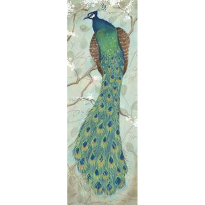 Peacock II Poster Print by Steve Leal-VARPDXLEA031 Image 2