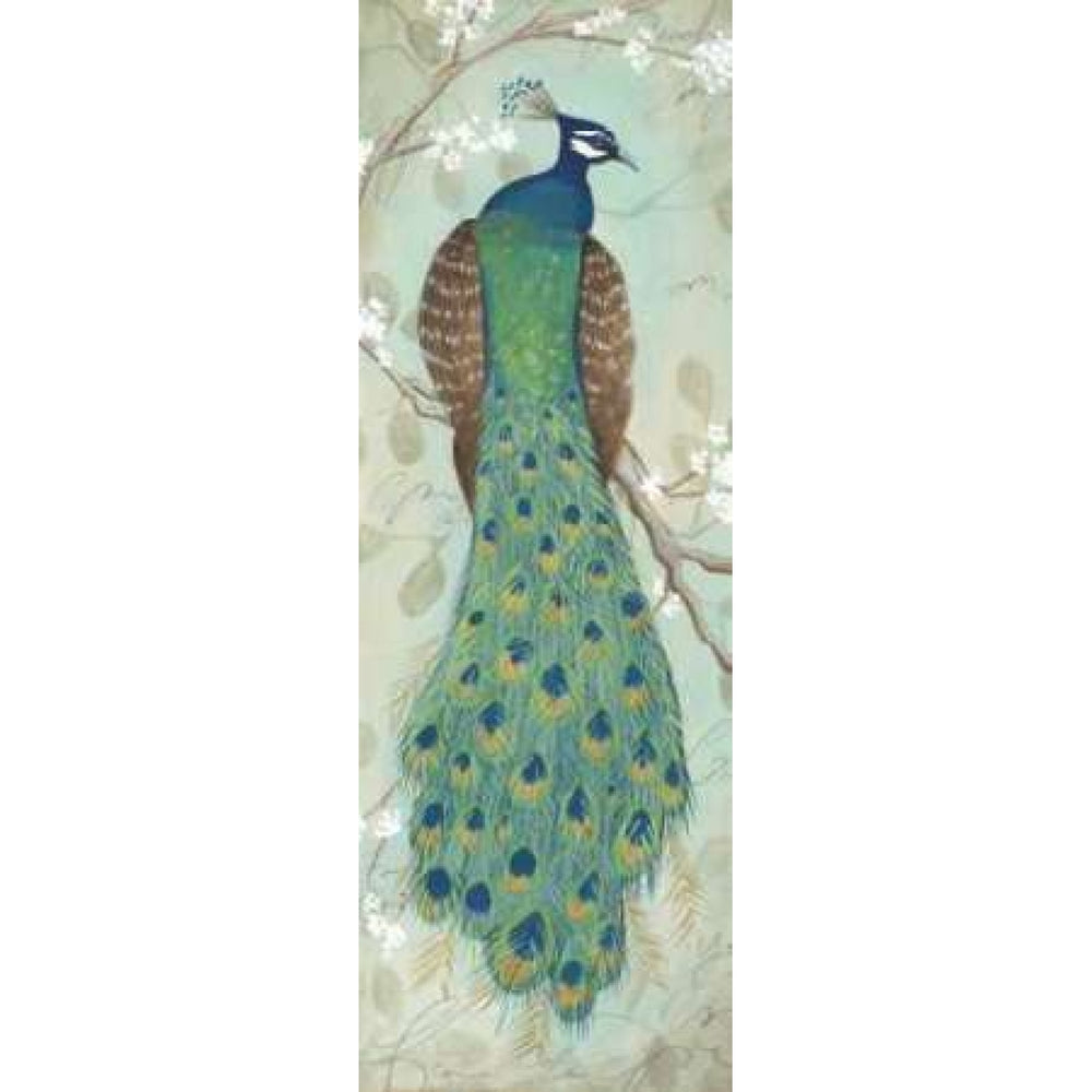 Peacock I Poster Print by Steve Leal-VARPDXLEA030 Image 2