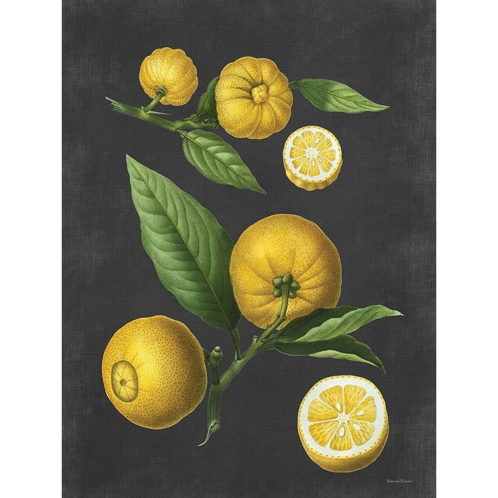 Lemon Citrus Poster Print - and Lined Lettered-VARPDXLET481 Image 1