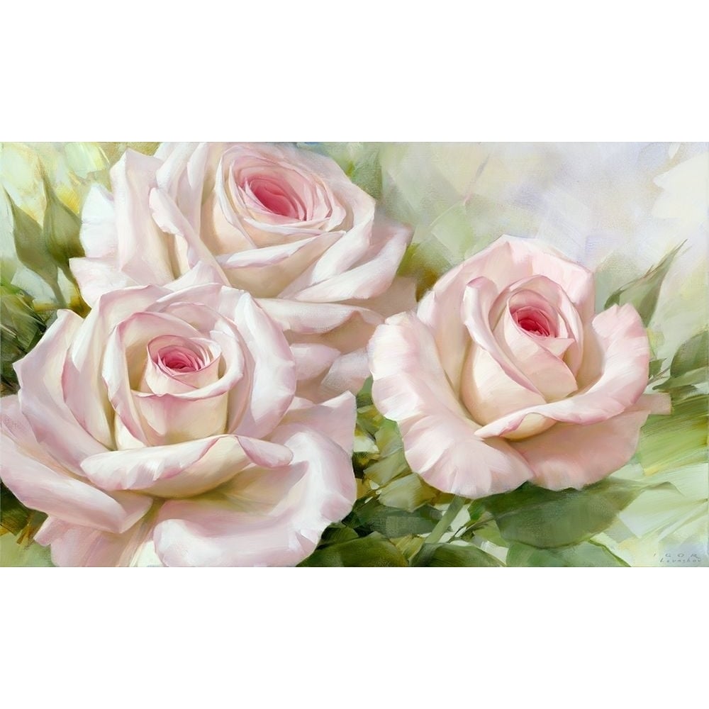 White and pink roses 1 Poster Print by Igor Levashov-VARPDXLI3 Image 1