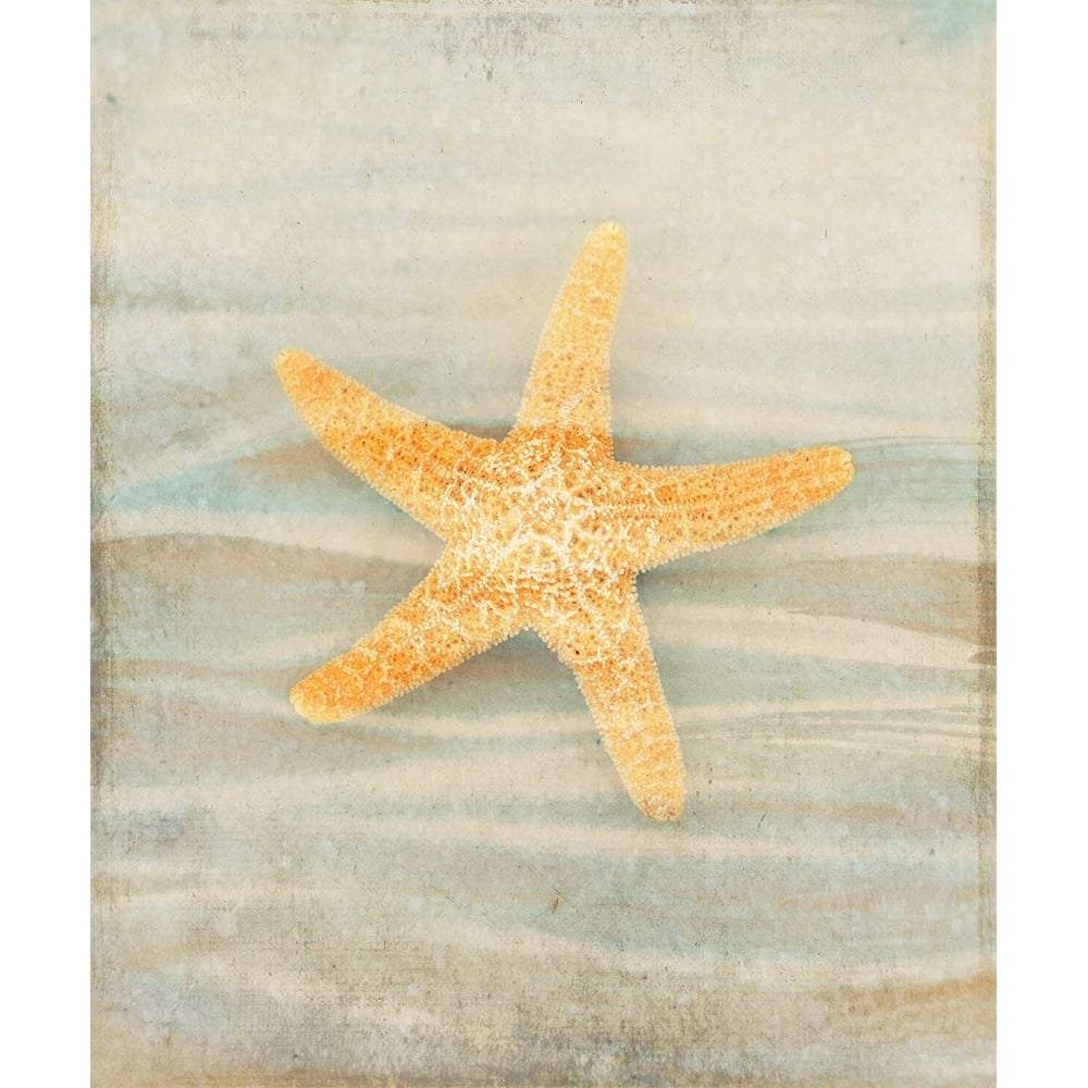 Gypsy Star 1 Poster Print - LightBoxJournal-VARPDXLIGBOX184452 Image 1