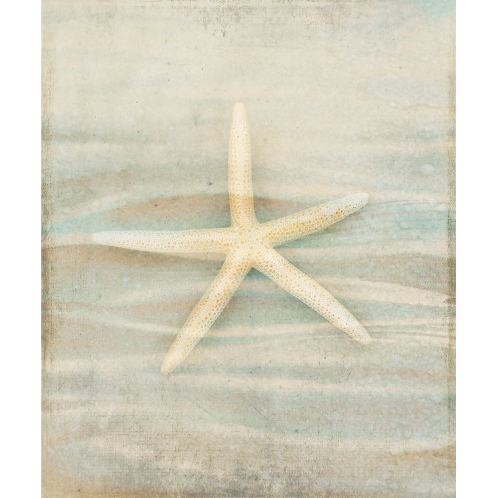 Gypsy Star 3 Poster Print - LightBoxJournal-VARPDXLIGBOX184454 Image 1