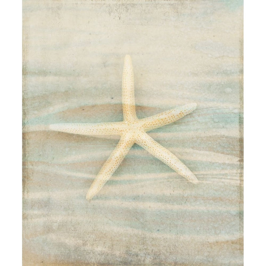 Gypsy Star 3 Poster Print - LightBoxJournal-VARPDXLIGBOX184454 Image 1