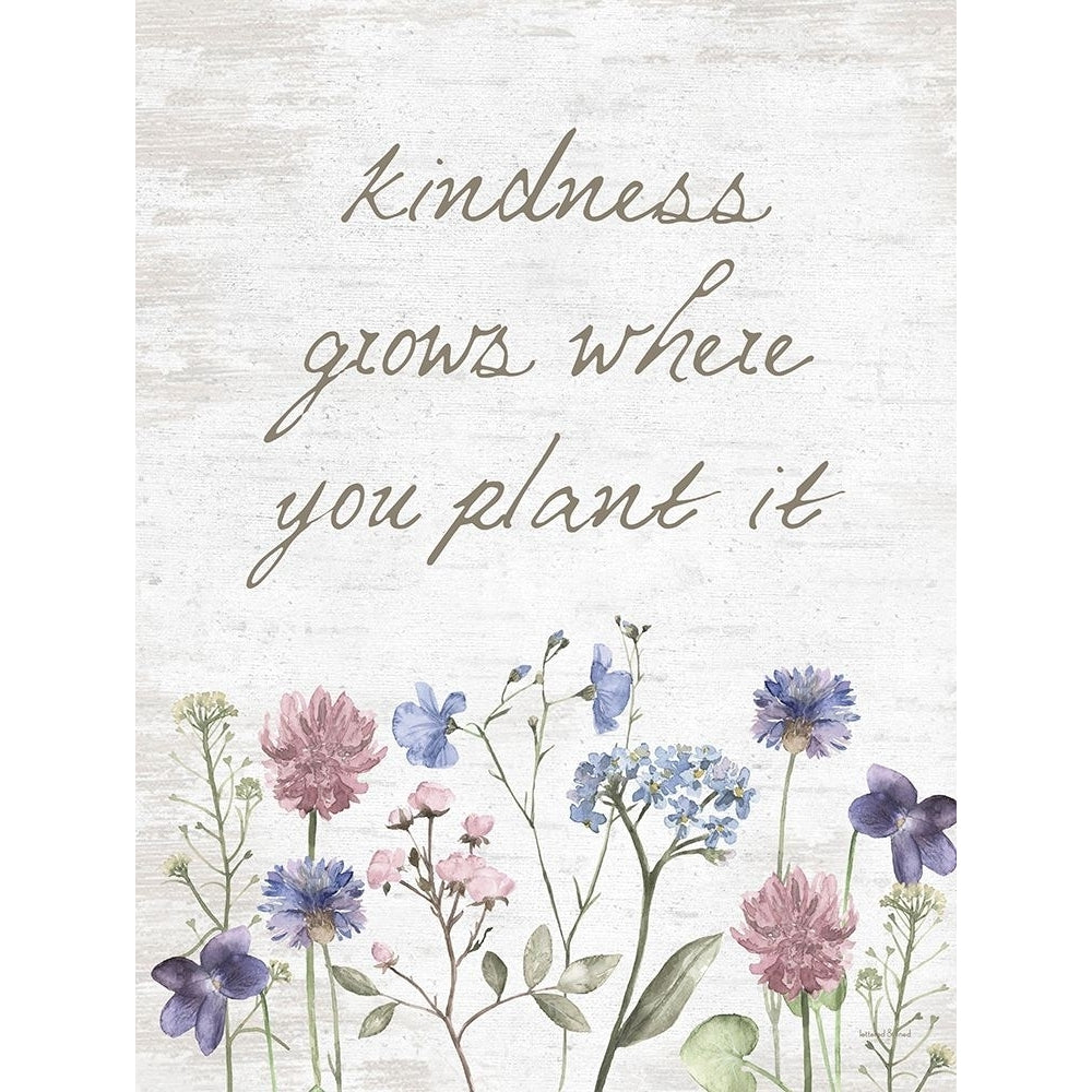 Kindness Grows Where You Plant It Poster Print - Lettered and Lined-VARPDXLET649 Image 1