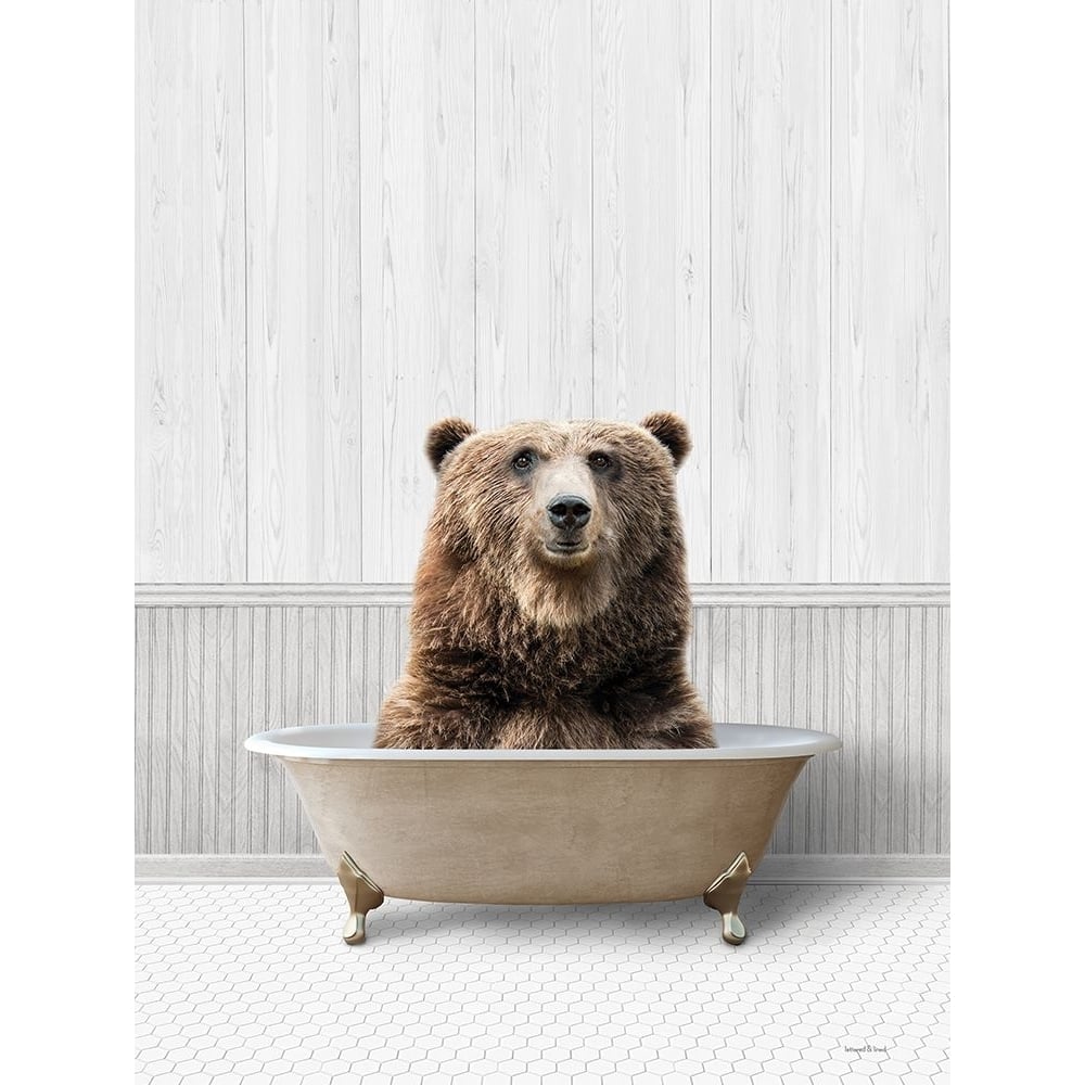 Bath Time Bear Poster Print - Lettered And Lined-VARPDXLET707 Image 1