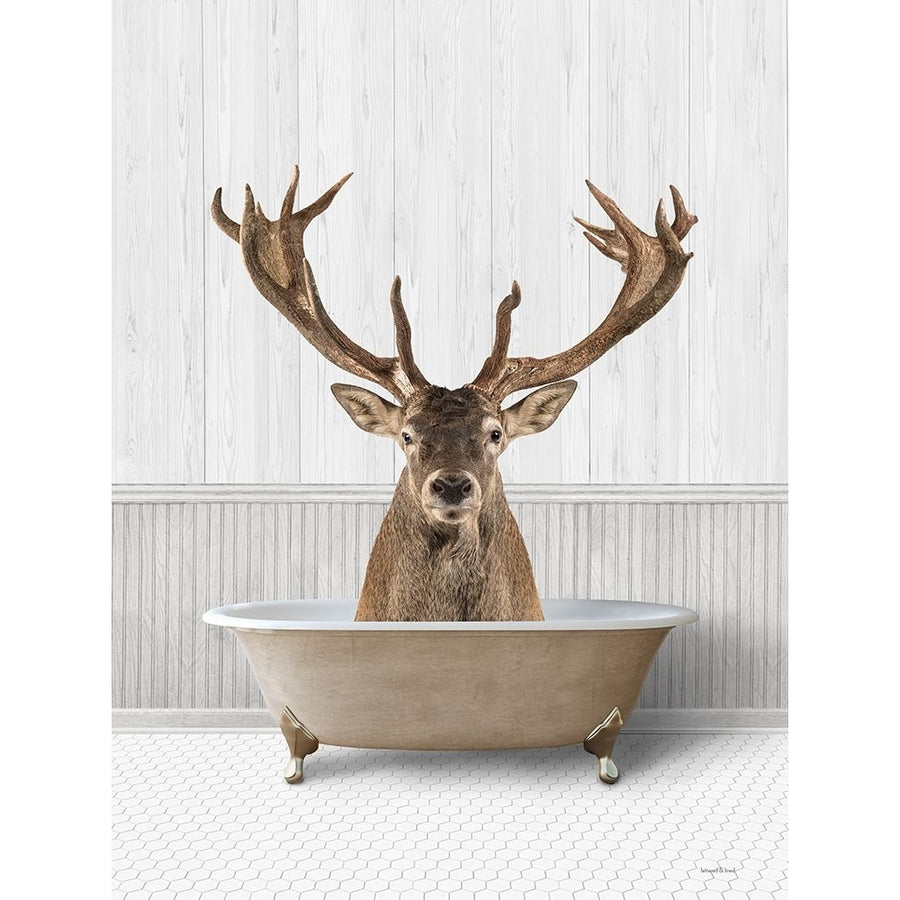 Bath Time Deer Poster Print - Lettered And Lined-VARPDXLET709 Image 1