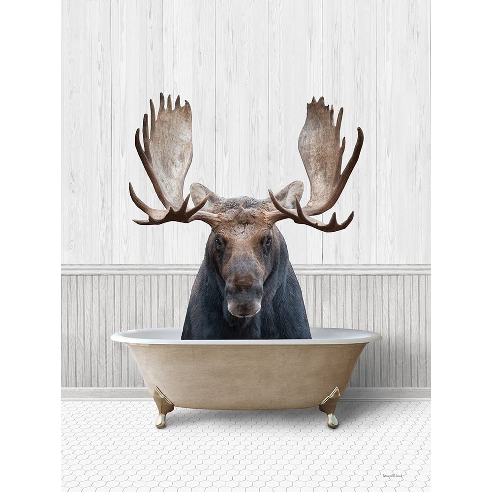 Bath Time Moose Poster Print - Lettered And Lined-VARPDXLET708 Image 1