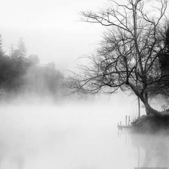 Fog On The Lake 1 Poster Print by Sally Linden-VARPDXLIN21BW Image 1