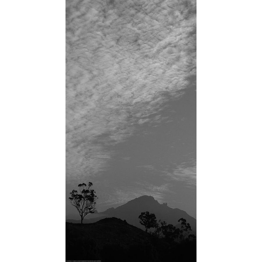 Upon the Mountain Poster Print by Sally Linden-VARPDXLIN59BW Image 1